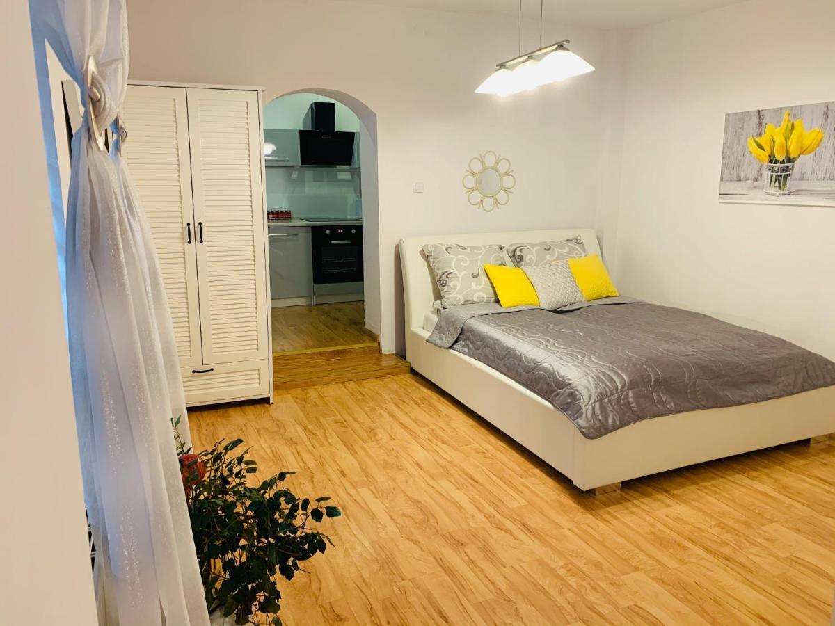 צ'שין Apartament Rodzinny Z Ogrodem מראה חיצוני תמונה